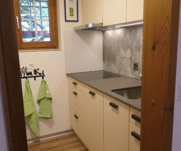 Valeria 아파트 Saas Fee